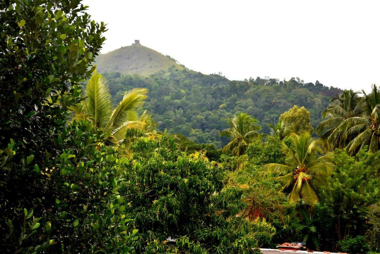 Badulla Grand Regency 바둘라 외부 사진